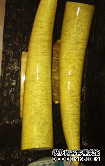 小叶桢楠和大叶桢楠有何不同?金丝楠木淡菜厂家教你鉴定沐鸣2注册